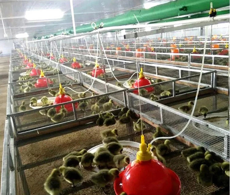 Автоматический пластиковый пьяница 830g Plasson колокола