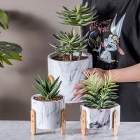 O plantador do potenciômetro do cimento de Mini Pots Clay Flower Pots dos plantadores do cacto ajustou plantas carnudas que os plantadores marmoreiam potenciômetros