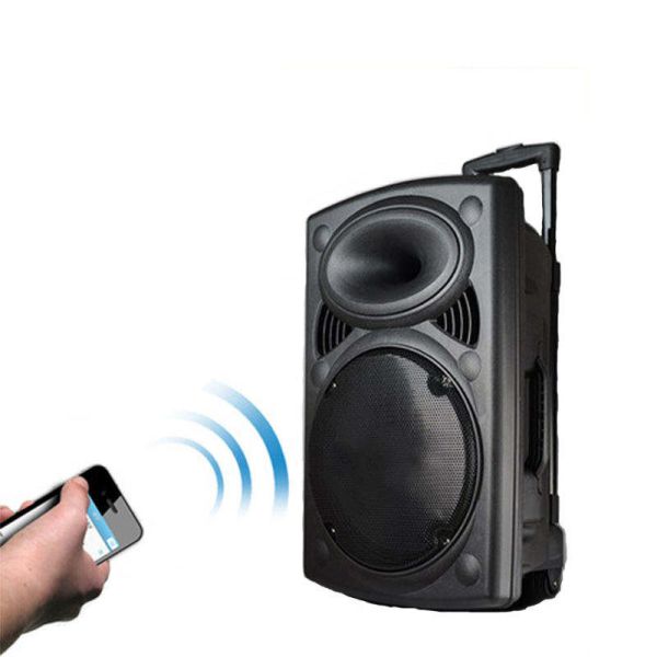 Compact Wireless Bluetooth Speaker for Rich Sound and Easy Music Streaming
