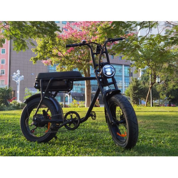 EB2 20 велосипед жирной автошины x 4,0 электрический с максимальной загрузкой 200KGS