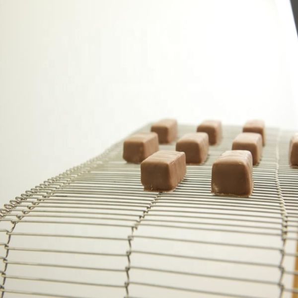 1.0mm-3.0mm Wire Diameter Corrosion Resistant Stainless Steel Wire Mesh Conveyor Belt with Customizable Dimensions