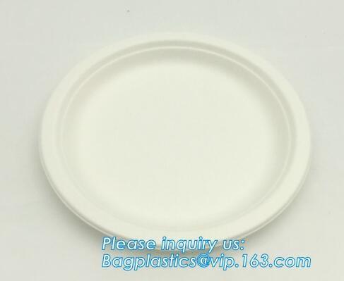 Biodegradable plate food grade green sugarcane bagasse plate,10 sugarcane ecofriendly disposable oval plate bagease pac