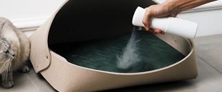 Bouteille continue de jet de la vente 200ML d'injection de Matte Fine Mist de cheveux de pulvérisateur de bouteille de l'eau vide en plastique chaude de coiffure