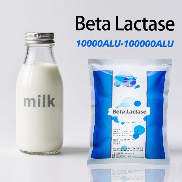 Pour le traitement du lait à faible sensibilité à la bêta-lactase