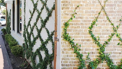 Clampada de cable ajustable para accesorios de botes de hardware de pared verde en acero inoxidable