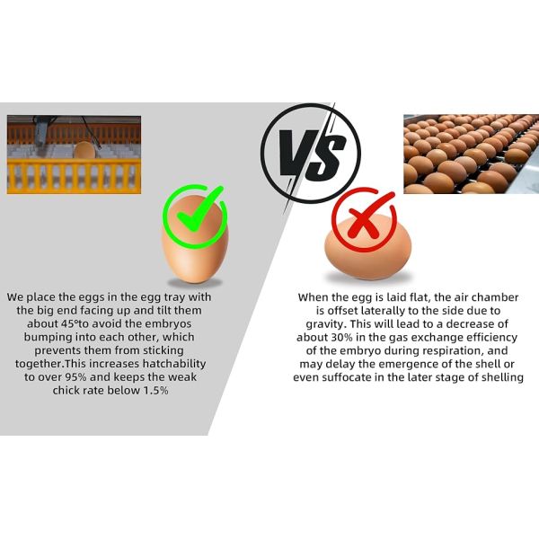 264 Egg Incubator With Automatic Egg Turning,Temperature Control And Humidity Control,Hatching Eggs,Chicken,Ducks,Poultry,Industrial Brooding Machine Chicken Incubator For Farm,Lab,Home,Indoor