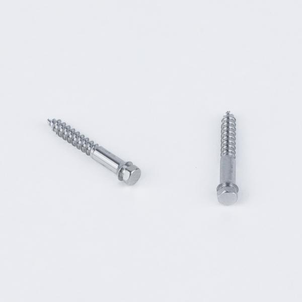 SEO-Optimized Product Description: SS/Titanium Mini Screw for MSE