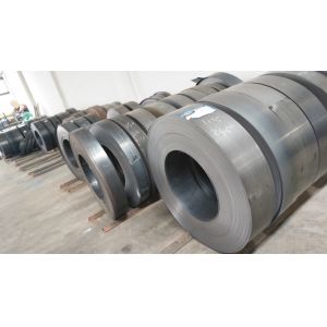 Guangdong Lijin Storage Equipment Co., Ltd.