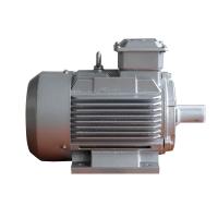 Cast Iron 5.5KW 7.5HP IE3 Three Phase Induction Motor