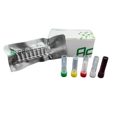 Blood Sample Type Animal Disease Kit For Feline Parvovirus Animal Health