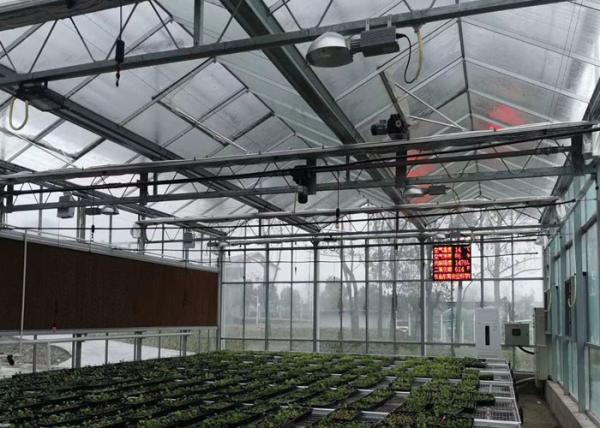 Plastic / Poly Agricultural Greenhouse , Vegetable Tunnel Multi Span Greenhouse