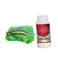 Spodoptera Frugiperda Insecticides biologiques SC Solution Efficace et sûr