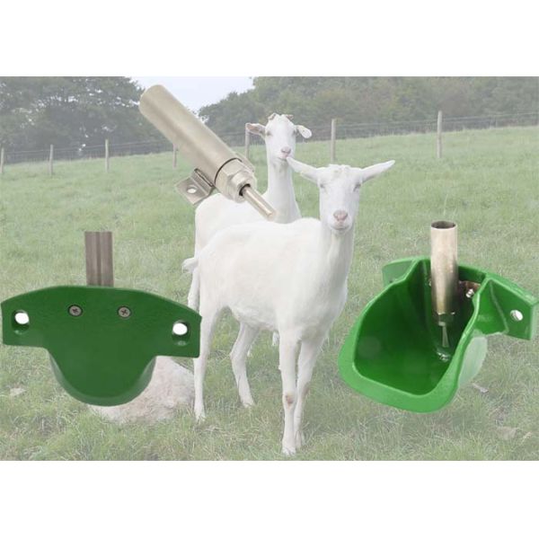 Healthy Animal Water Trough Automatic Stock Waterer High Flow Rate