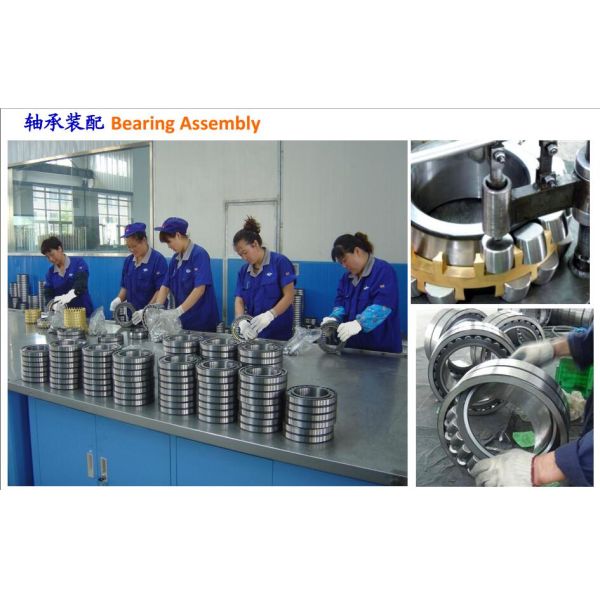 DALIAN MOTION ENGINEERING CO.,LTD.
