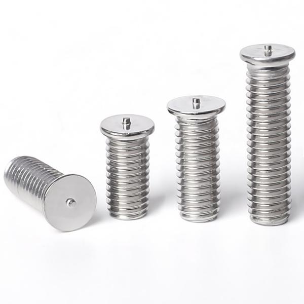 Rust Resistance Custom Made Stainless Steel Screw Heavy Duty