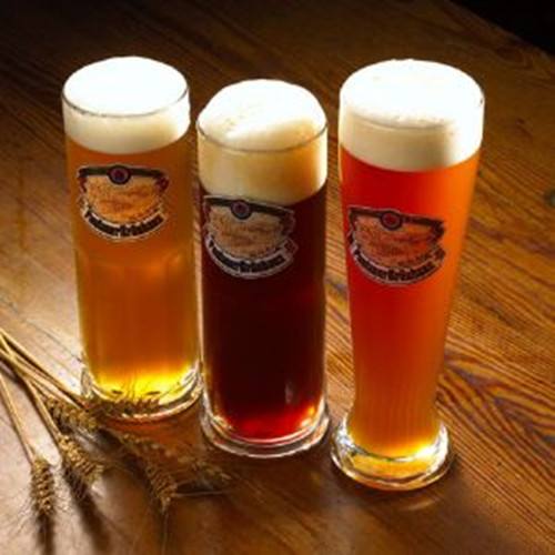 300L 500L Small Brewery Automatic Beer Fermentation Vessel