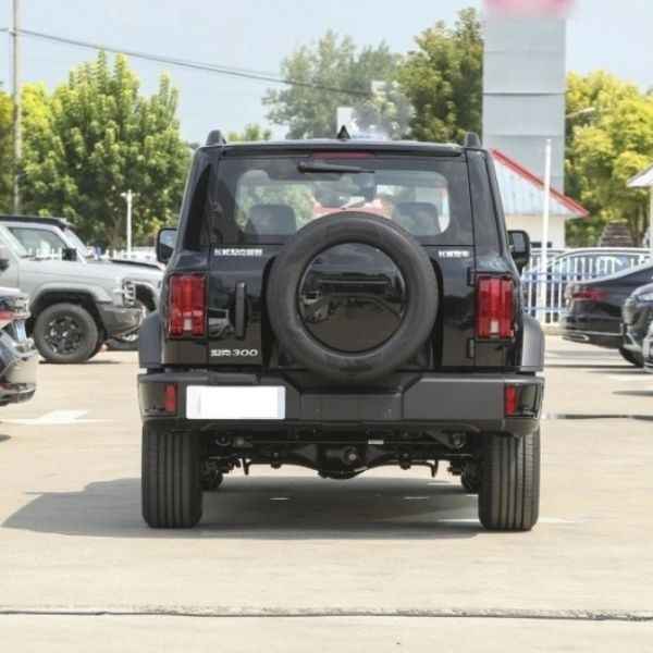 Tank 300 SUV 2023 Model 2.0t Cuirass 02 Cars 8-Gear Gasoline Car for Your Requirements