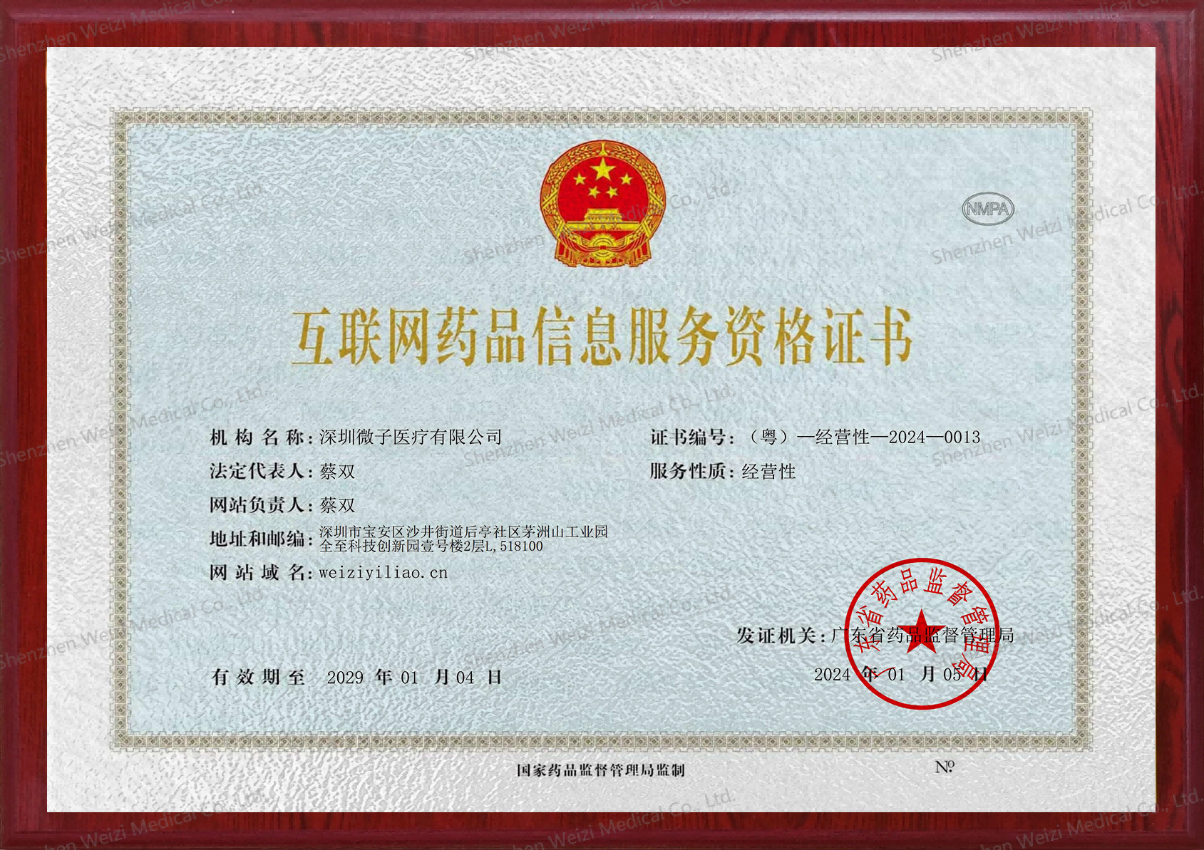 Shenzhen Weizi Medical Co., Ltd. Сертификации