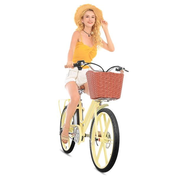 0.25kw Women'S Electric Cruiser Bike , Multipattern Ladies Electric Road Bike