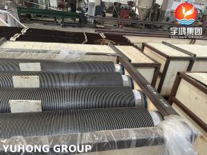 TP304 18Cr-8Ni Finned Pipe 11-13Cr Fins For Fired Heater Convection Section