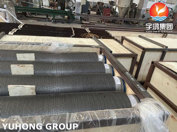 TP304 18Cr-8Ni Finned Pipe 11-13Cr Fins For Fired Heater Convection Section