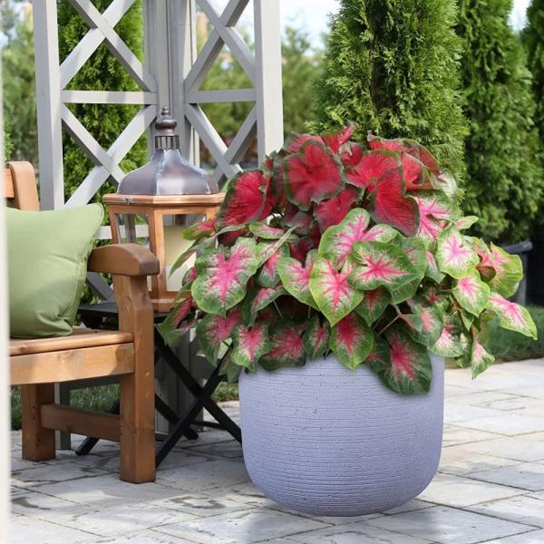 Grey Mottle Lightweight Tall Oval Concrete Planter Pots | Unique Design | Handicraft | UV-Resistant and Eco-Friendly