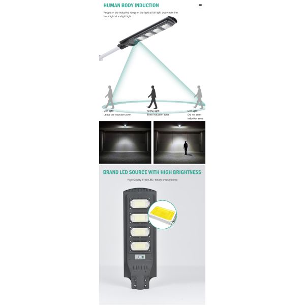 50-300W High Lumen Induction Power Solar Street Lamps for Road and Garden Lighting