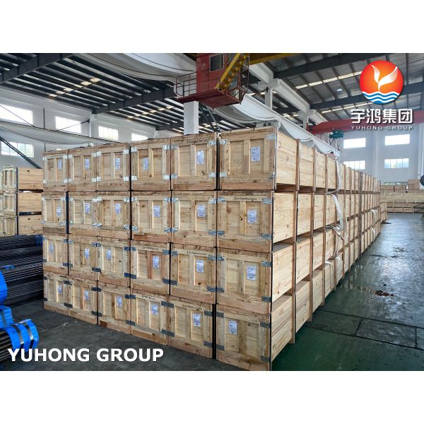 EN10216-2 16Mo3 TC2 10CrMo9-10 TC2 Seamless Alloy Steel Tube For Boiler Water Tube