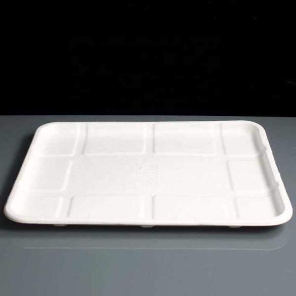 Eco-Friendly Wholesale Bio Disposable Sugarcane Food Container Snack Cookie Fruit Rectangular Plates