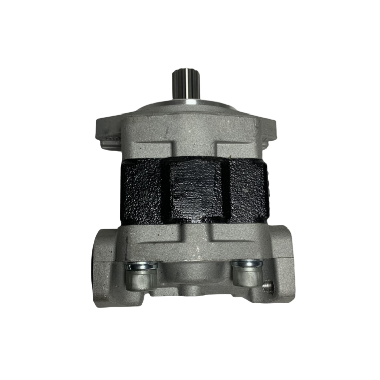 Steel Material Gear Pump with Long Working Life for CPCD80-100 Forklift Hydraulic System