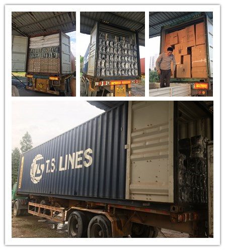Reliable Shenzhen / Guangzhou / Hong Kong /Foshan Shipping Agent