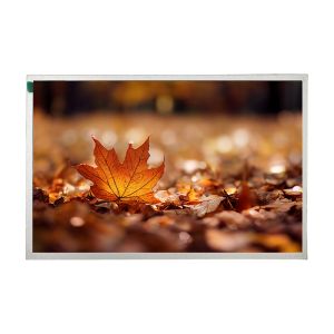 Écran d'affichage LCD TFT 12,1 pouces HD 1280x800 avec LVDS 40 broches et écran tactile en option