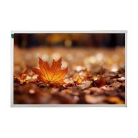 HD 12,1 pulgadas TFT pantalla LCD 1280x800 Con LVDS 40 pines Panel táctil opcional
