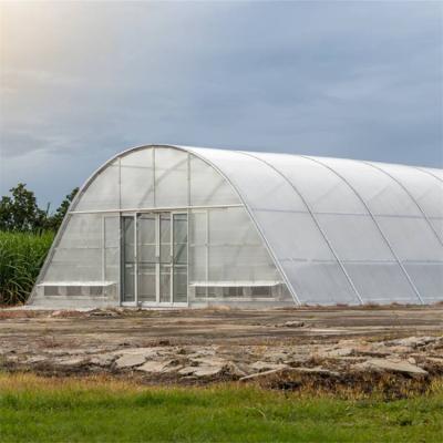 Pimentões que secam o secador solar da estufa do aquecimento da placa de PC da abóbada para o cultivo da agricultura