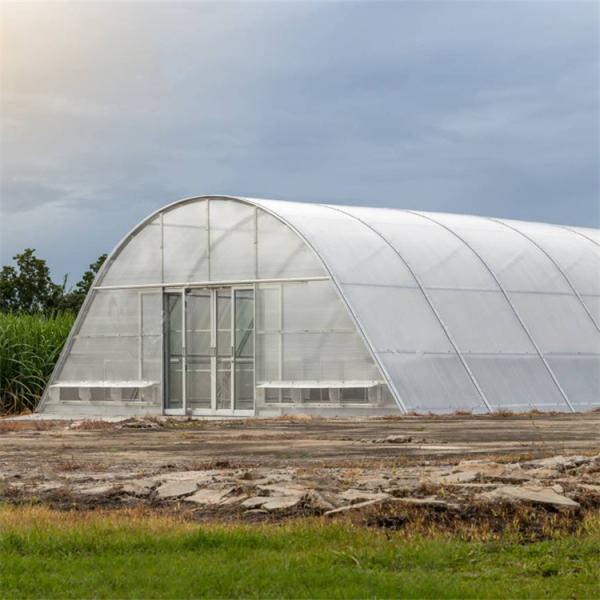 Stable Structure Vegetable and Herb Drying Greenhouse with Advanced Ventilation Technology
