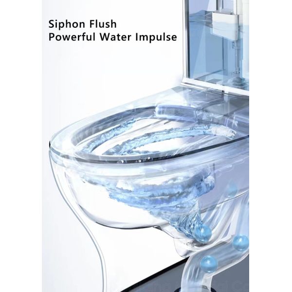 места шара туалета биде 700x630x370mm поверхность электронного автоматического более чистого ровная застекленная