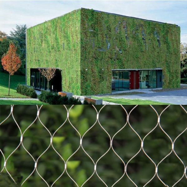 Flexible Plant Climbing Net SS316 Green Wall  7X7 Wire Rope Plant Trellis