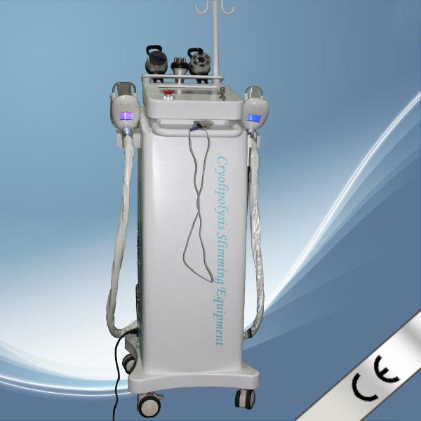 10.4 inch screen touch control cryolipolysis slimming machine with 5 handles