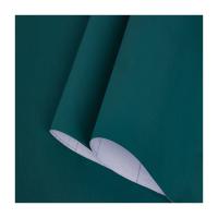 Tapis peint en PVC en vinyle sur mesure Tapis peint en vert de luxe