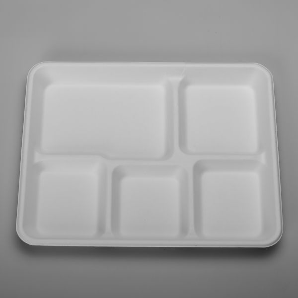 Bagasse Biodegradable Food Trays