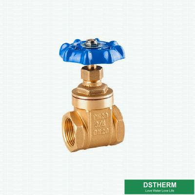 200 válvula de porta de bronze personalizada do estilo grande do WOG BSPT NPT com o punho azul do ferro