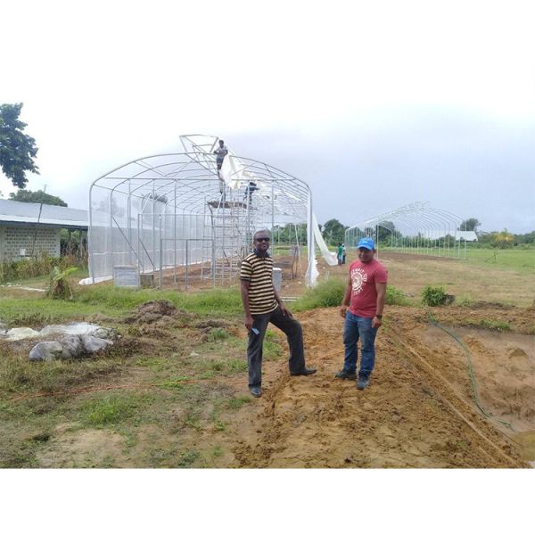 5-метровая тропическая сельскохозяйственная теплица с плечевой конструкцией, зонтичной вентиляцией и однопролетной конструкцией