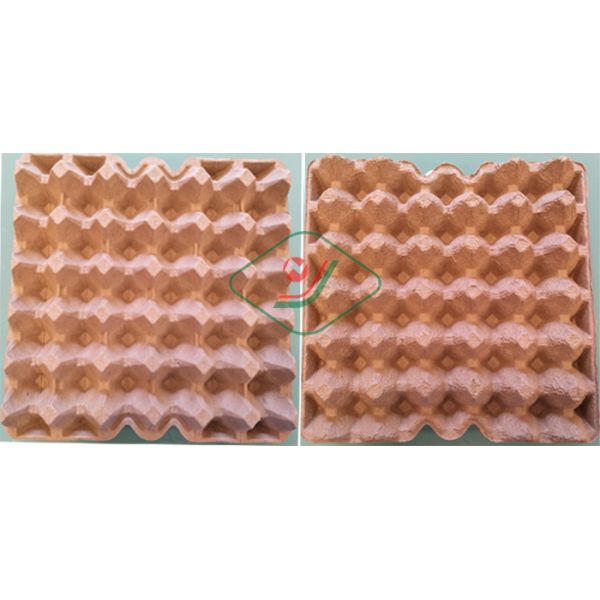 O automóvel recicla a máquina de papel da bandeja do ovo com 6 camadas do secador 6000pcs/H