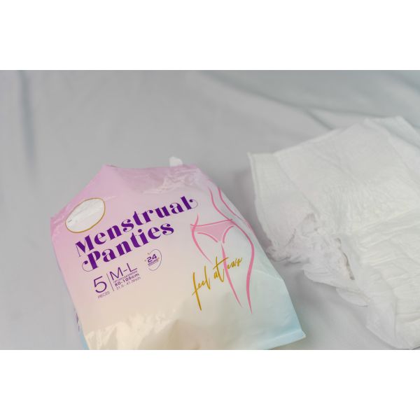 Odor Resistant Overnight Panties Non Woven Nighttime Period Panties Comfortable