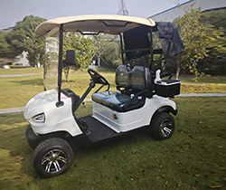 Electric Vehicle 2-Seat Golf Cart with Long Range 4-Wheel Drive and Lithium Battery