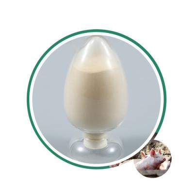 CAS 73-22-3 L Tryptophan Powder 25kg/Carton Essential Amino Acid