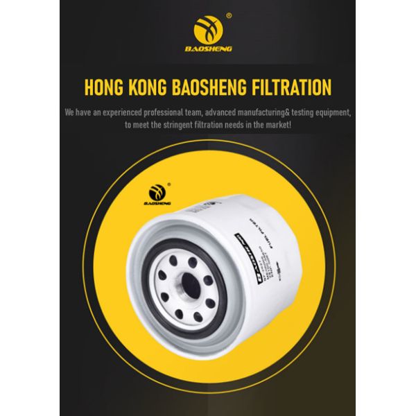 BAOSHENG Excavator Diesel Engine Fuel Filter 119000-55600 MB006066