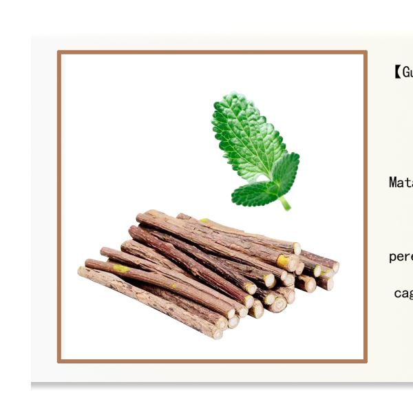 Silvervine Cat Toy for Self Play and Teeth Cleaning Made from Natural Polygonum Arboreum