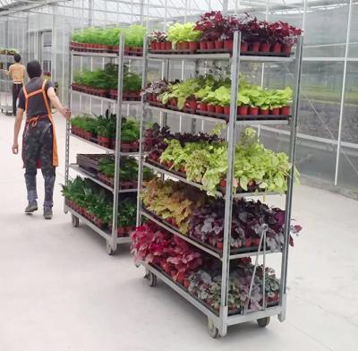 A estufa puxa Q235 líquido PP roda o trole dinamarquês da planta do centímetro cúbico