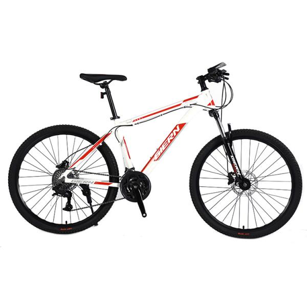 Double Wall Rim Cnc Lady Mountain Bike para Smart Riding Yinxing Freio de disco hidráulico